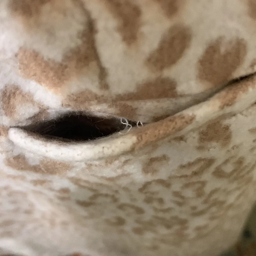 NWT Nine West Cream Tan Long Leopard Coat Size Medium Retail $118 - Picture 11 of 11